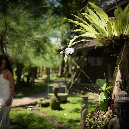 Taman Nauli Boutique Rooms Canggu Kültér fotó
