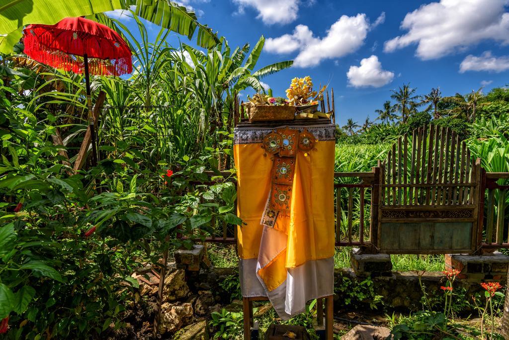 Taman Nauli Boutique Rooms Canggu Kültér fotó